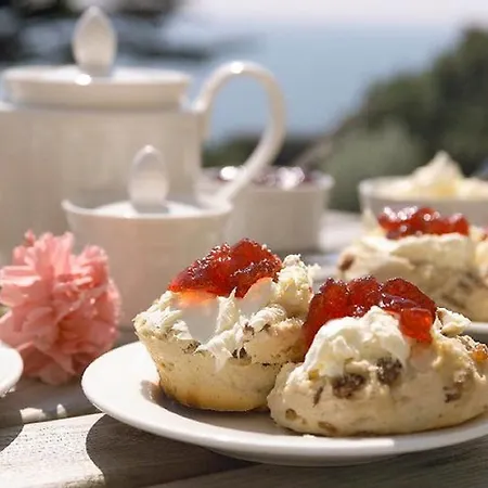 Whitsand Bay Hotel 3*
